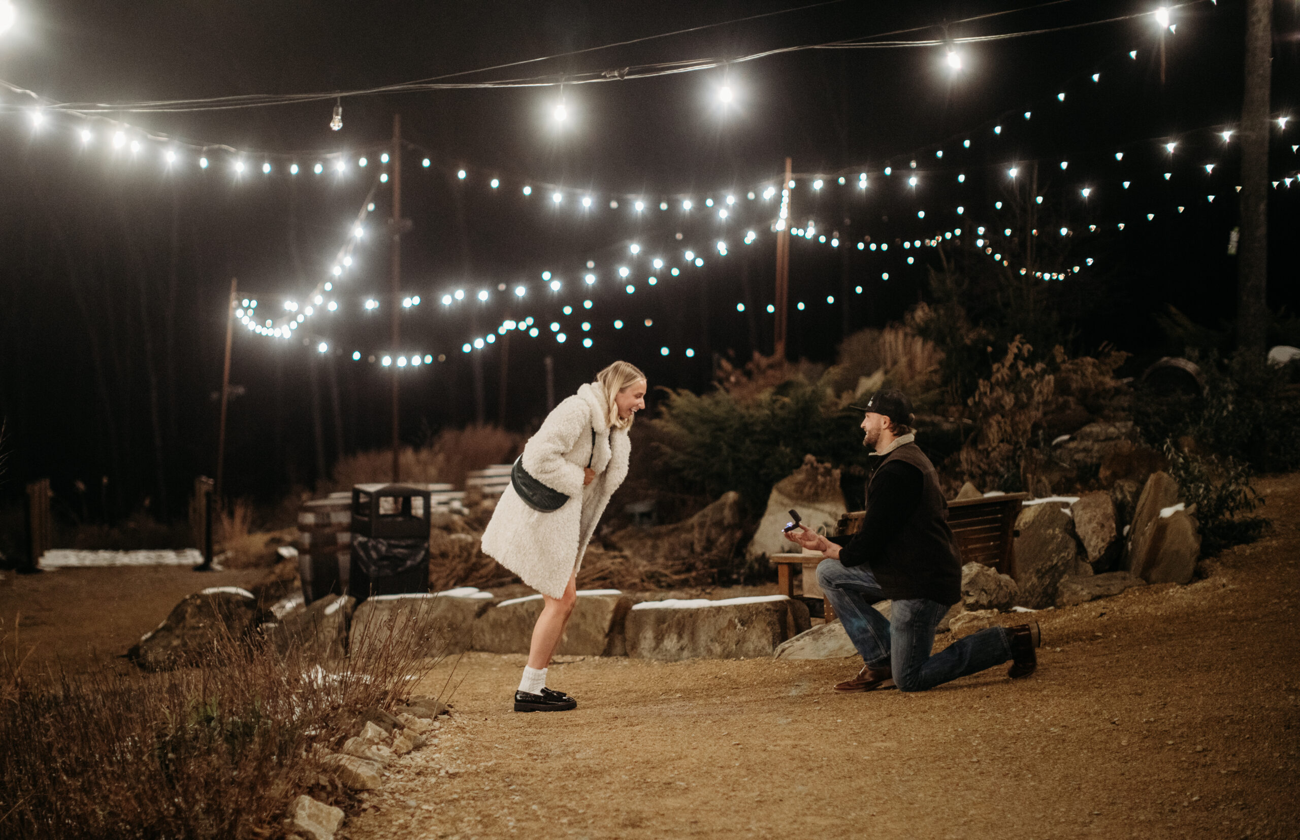 proposal enagement photography